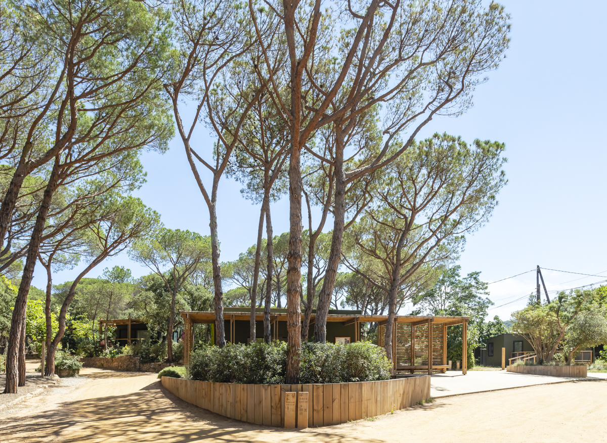 Pradera y cobertura vegetal