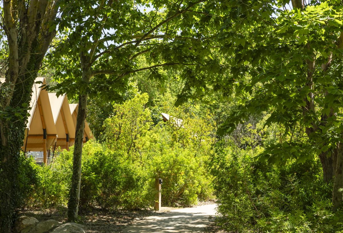 Bosque mediterráneo