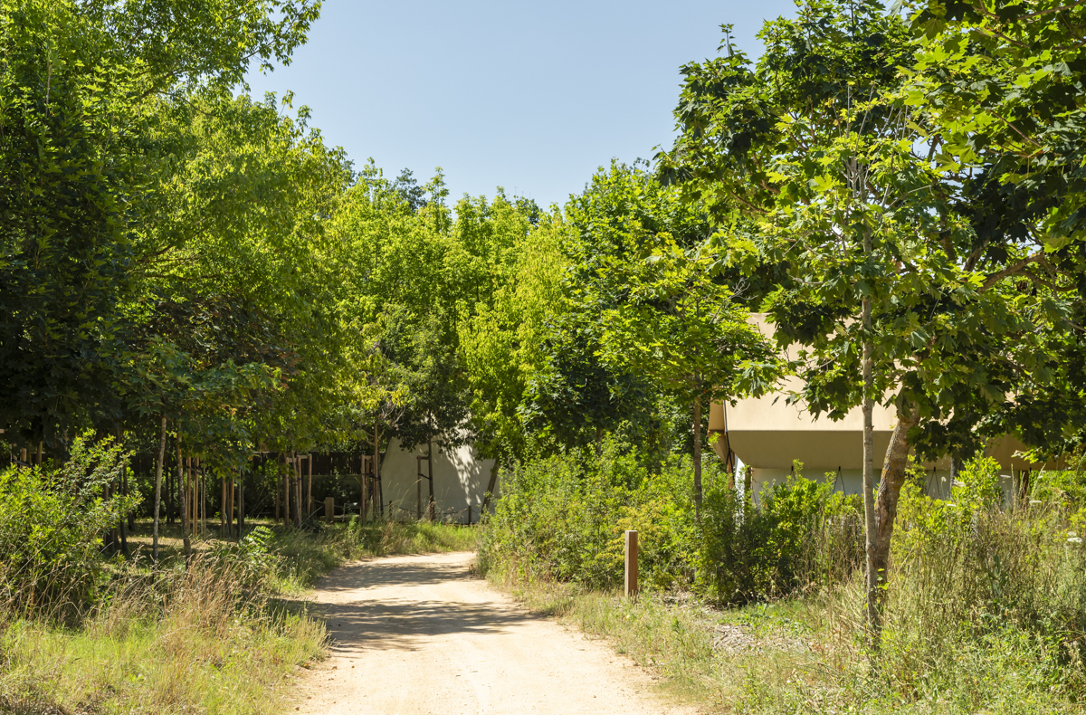 Zona glamping
