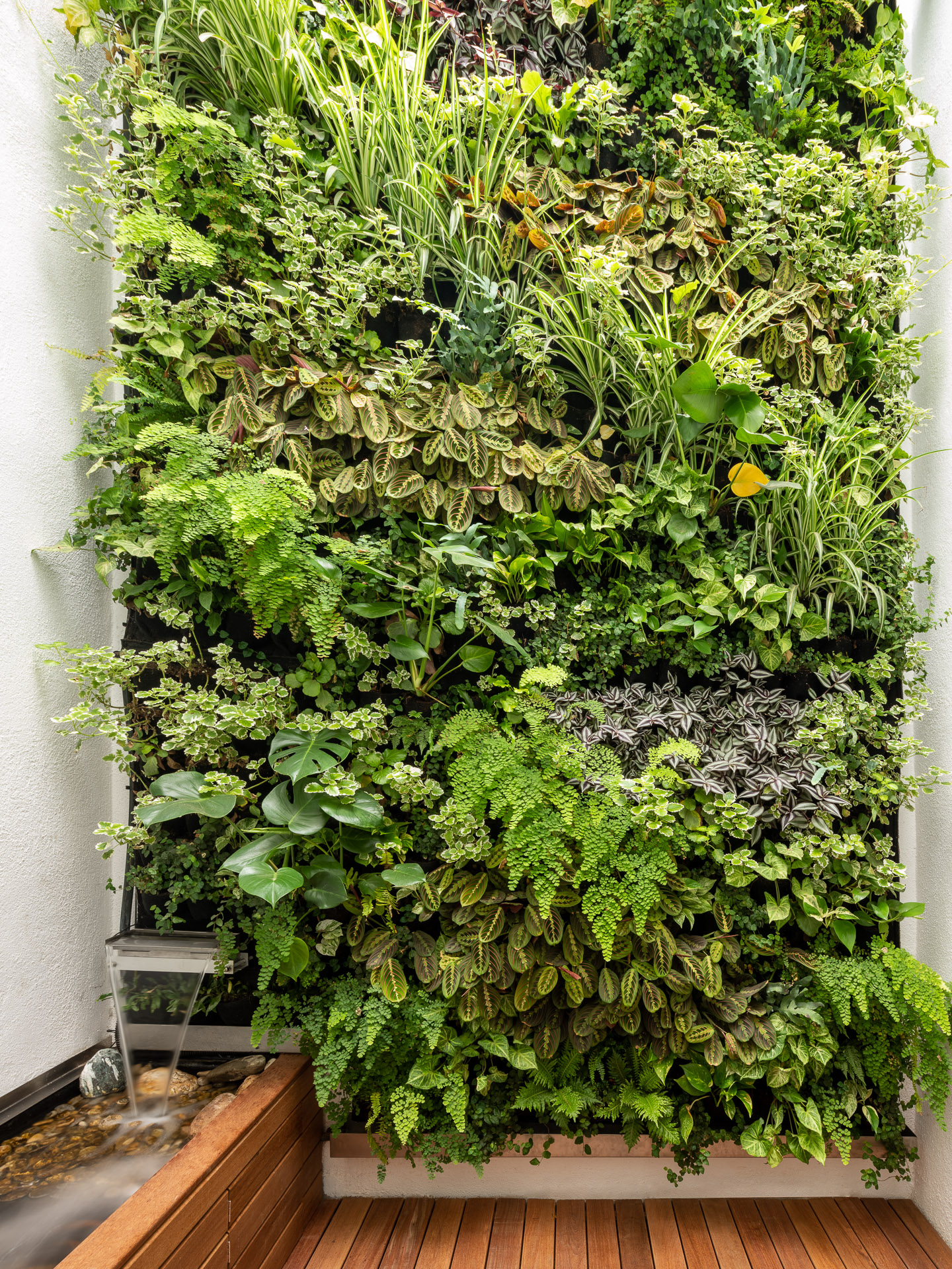 Patio interior con vegetación