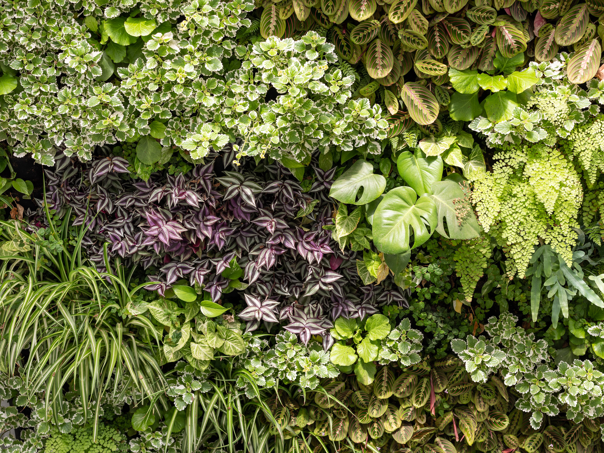 Detalle del agua y la vegetación