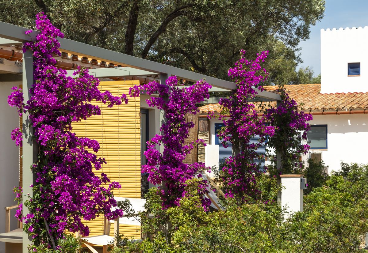 Tiendas glamping integradas en el paisaje