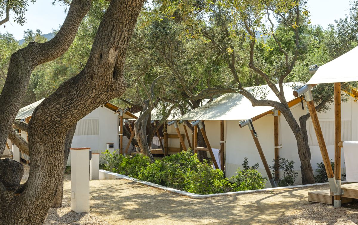 Áreas verdes del camping