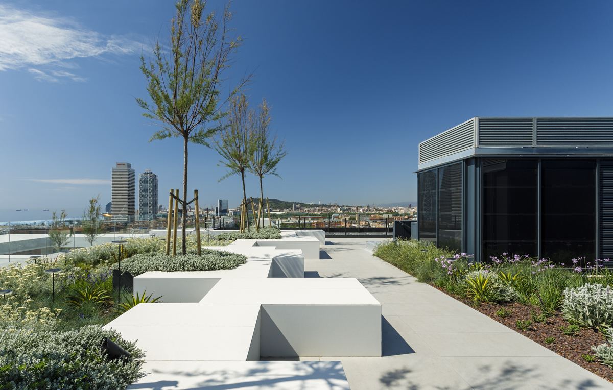 Azotea con horticultura urbana